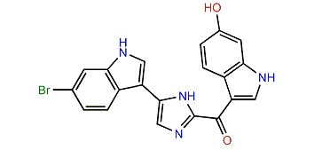 Topsentin B2